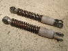X[p[t[50(6V)/ SUPER FREE  tgTXyVE F50-3511