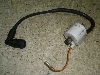 |bvM50/ POPGAL  COjbVvOR[hRC 17J-1310