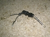 g[V[CZ125/ CZ125 g[VB/ TRACY   u[LZT[ 36F-0016