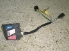 g[V[CZ125/ CZ125 g[VB/ TRACY   nhXCb` 36F-0016