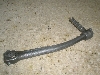 `Cm/ choinori  LbNy_ CZ41A-1566