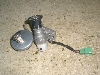 `Cm/ choinori  L[Zbg CZ41A-1566