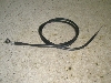 `Cm/ choinori  `[NC[ CZ41A-1566