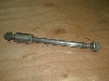 Wm/ GIORNO  tgANXVtg AF24-1418
