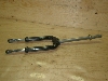 p50/ PAL  tgtH[N AF17-2253