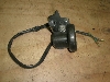 p50/ PAL  ANZz_[ AF17-1316