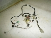 `Cm/ choinori  Cn[lX CZ41A-1354
