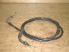 WmNA/ GiornoCrea  ANZC[ AF54-1118
