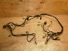 }WFXeB250/ MAJESTY Cn[lX 4HC-0195