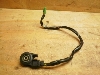 S50(12V)/ GORILLA    TChX^hZT[ Z50J-2505