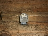 RZ-50/ RZ50  M^[ RA01J-0026