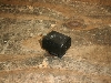 TZR250 ECJ[[ 1KT-0111