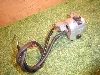 NAXN[s[50/ crea SCOOPY  nhXCb`E AF55-1062