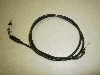 }WFXeB125/ MAJESTY ANZC[ 5CA-1565