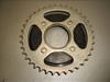 V[50/ CHALY/ VB   XvPbg CF50-3004