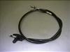 GCv50/ APE50/ Ape50    tgu[LC[ AC16-1103