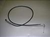 `Cm/ choinori  ANZC[ CZ41A-1236