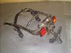 XeB[h400/ STEED  V[g[ NC26-1317