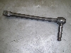 `Cm/ choinori  LbNy_ CZ41A-1017