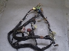 o[fB[50(12V)/ Birdie Cn[lX BA41A-2338