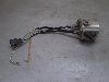 o[fB[50(12V)/ Birdie nhXCb`E BA41A-2338