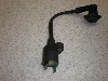 DioZX-2/ fBI/ CufBIZX/ LIVE DIO ZX (12V) COjbVvOR[h AF35-1435