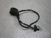 EH^[Et250/ WOLF250  / Walter Wolf   nhXCb`E GJ21B-1090