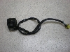 EH^[Et250/ WOLF250  / Walter Wolf   nhXCb` GJ21B-1090