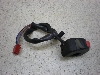 W[250/ ZEAL  nhXCb`E 3YX-0484