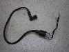 CL50x[(12V)/ x[50/ Benly50  COjbVvOR[h CD50-4002