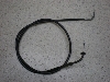 `Cm/ choinori  ANZC[ CZ41A-1075