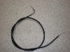 `Cm/ choinori  `[NC[ CZ41A-1075