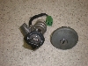 `Cm/ choinori  L[Zbg2P CZ41A-1452