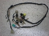 `Cm/ choinori  Cn[lX CZ41A-1157