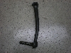 `Cm/ choinori  LbNy_ CZ41A-1389