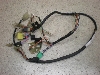 `Cm/ choinori  Cn[lX CZ41A-1389