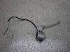 X[p[t[(6V)/ SUPER FREE  nhXCb`E F50-1788