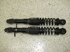 g[V[CZ125/ CZ125 g[VB/ TRACY   ATXyV 36F-0034