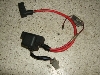 g[V[CZ125/ CZ125 g[VB/ TRACY   obe[RC/X^[^[[ 36F-0034