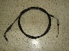 fBI50/ Dio  ANZC[ AF56-1116