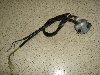 XJbV50(12V)/ SQUASH nhXCb`E AB11-1069