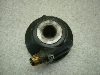 }WFXeB250/ MAJESTY [^[MA 4HC-0525