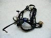Xg[g}WbN/STREET MAGIC/ TR50S/ Xg}W    Cn[lX CA1LA-1016