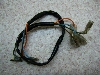 ptC50(6V)/ PALFLEY  Cgn[lX NC50-6063