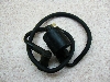 ptC50(6V)/ PALFLEY  COjbVvOR[h NC50-6063