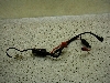 NV750JX^/ NV750Custom   obe[RC RC14-1005