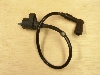X[p[Ju50(12V)/ Super Cub/ CUB50  COjbVvOR[h C50-0716