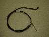 `Cm/ choinori  ANXC[ CZ41A-1554
