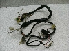 nX[50(6V)/ HUSTLER/ TS50  Cn[lX TS503-1173