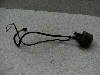 nX[50/ HUSTLER/ TS50  nhXCb`E TS503-1173